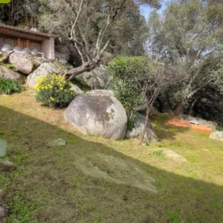 Prázdninový dům Bellucciu Di Vecchio - Piscine Porto-Vecchio (Corsica)